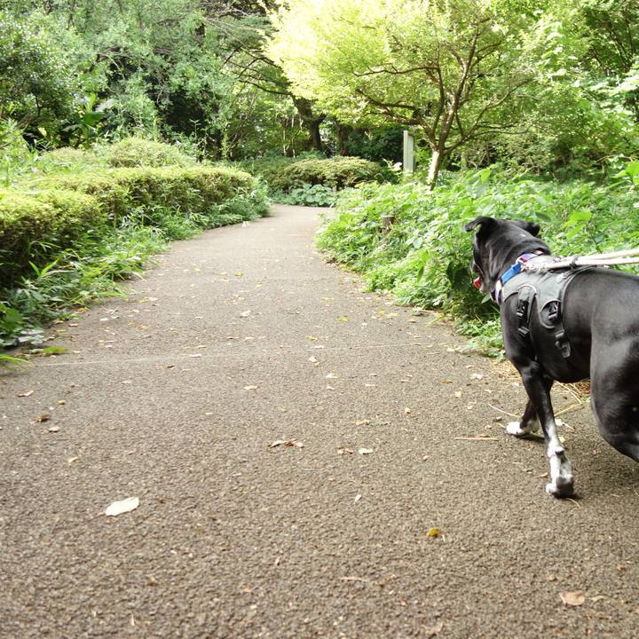 D3f7a38e 9240 43a9 8b8a 924c22cced85 1657235918411