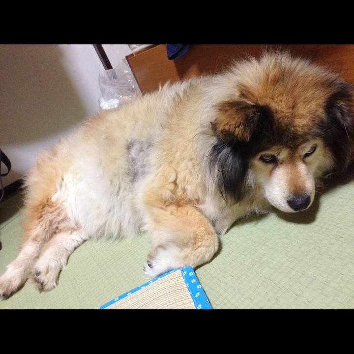 D3f7ab02 ba57 4ae9 886d 46e2f6261f62 1596880388072