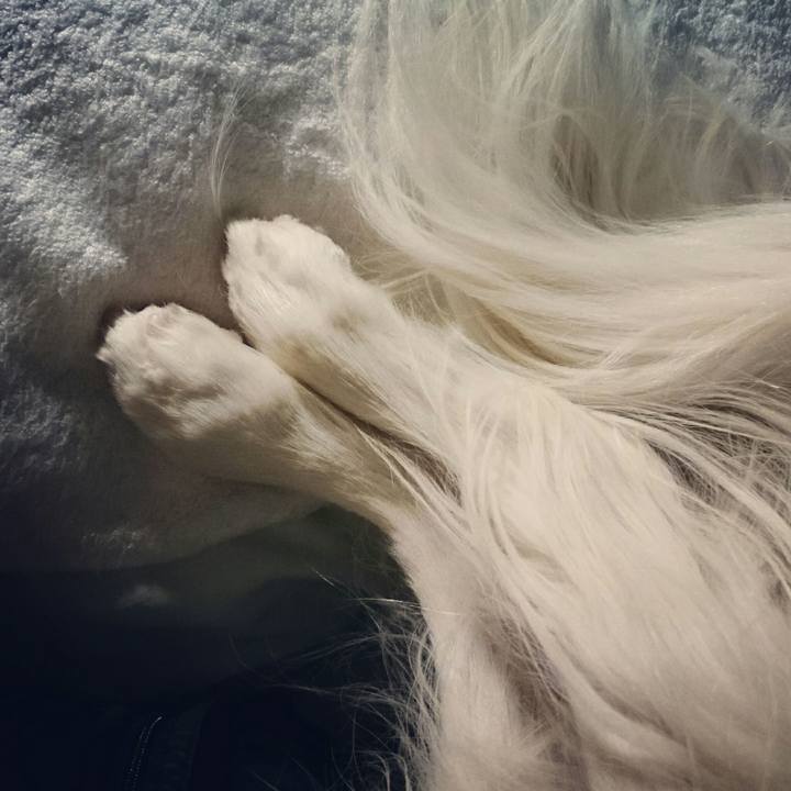 D3f7aefb d3d7 4a40 9178 8d9f2b79ee5a 1511785770604