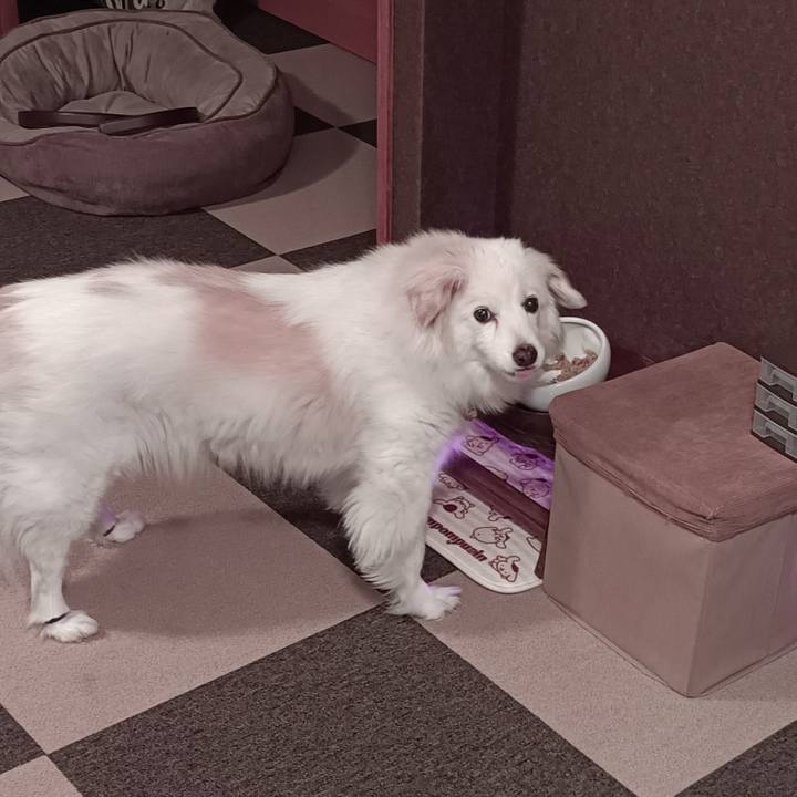 D3f7d53a 5bfe 4f65 9970 66977f507290 1714506019072