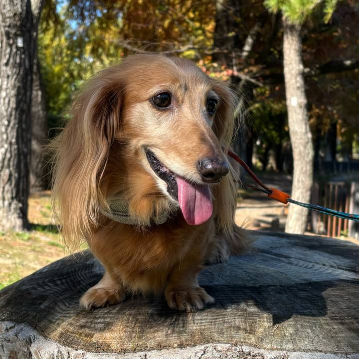 D3f7dbc8 5fe3 4e65 98a5 1281abed4811 1763277549239