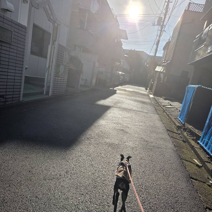 D3f7e870 12d7 4c29 b462 6ed8c99e4c31 1761952029463