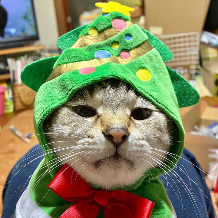 D3f7f3d6 7b81 46b1 b81b b444c6c6db83 1766628717583