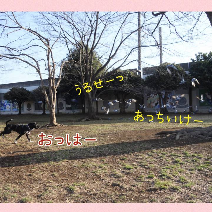 D3f8092a c909 4759 ac8d f8f9897cd60e 1646786748932