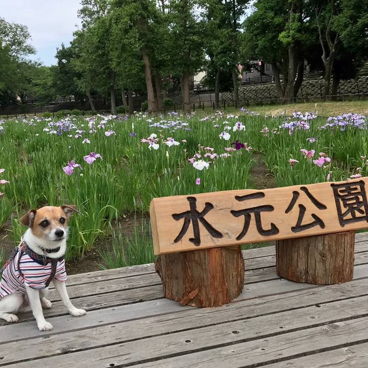 D3f85aae 6b38 4764 921c 09e5d566b307 1559385907460