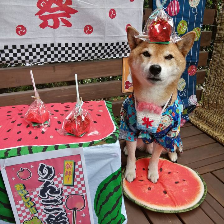 D3f8731b d6cd 4279 9f86 4b8ac502df17 1661564306968