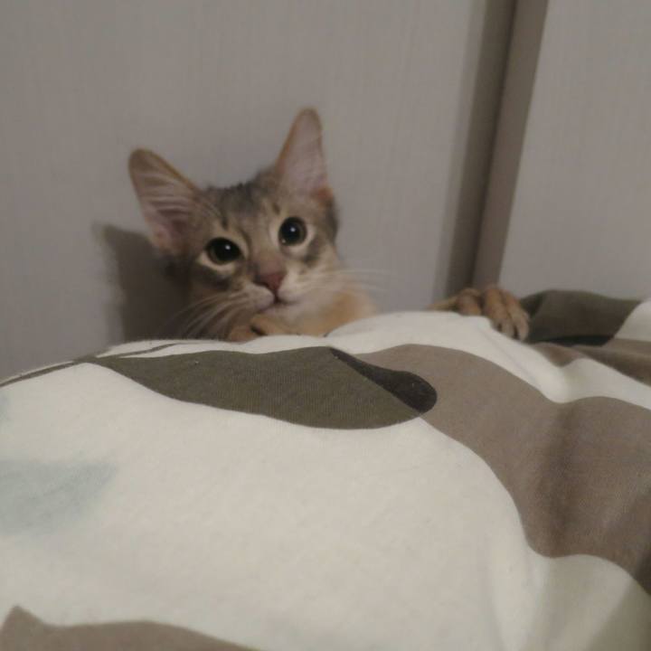 D3f8b505 6d8f 425b 856a f2d28a3f2819 1541592261969