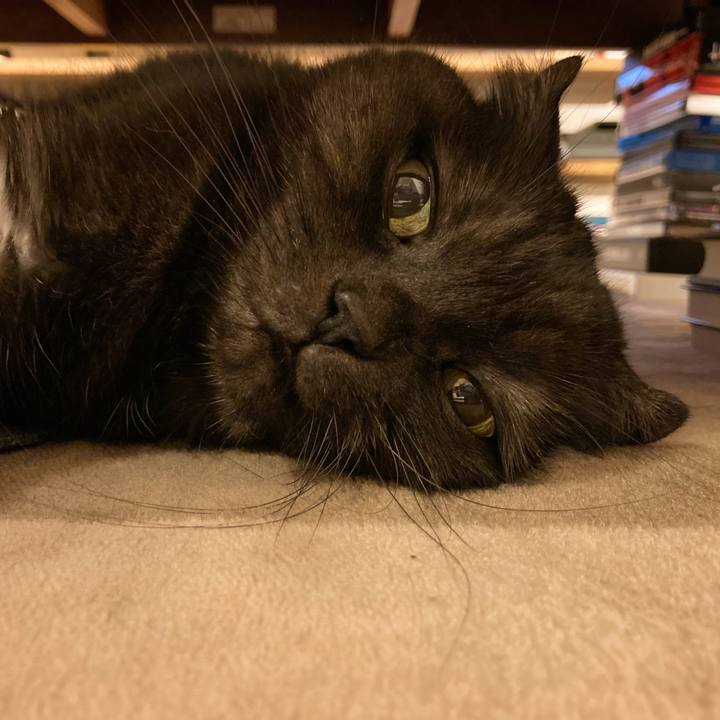 D3f8d6f3 6e6c 449b b5f3 18fbd514fdd4 1607180513285