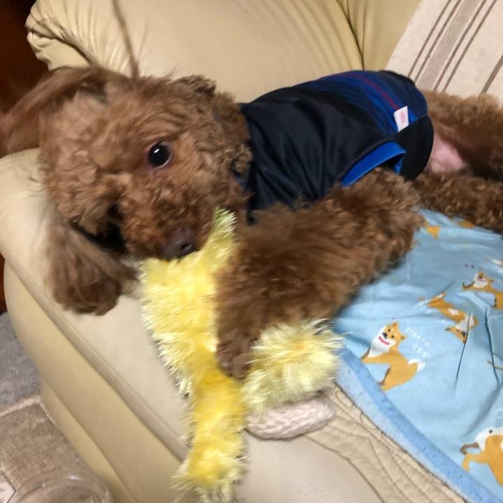 D3f8f0da 1b65 4428 80a5 0095744d72ae 1560583174368