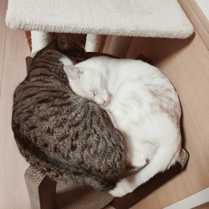 D3f912f9 cfd7 49f5 8286 0578105c905f 1646133991618