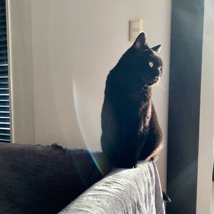 D3f9247b 5bfd 4c6c 9b80 b47d1d0ca92a 1745732873047