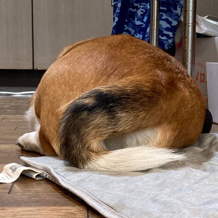 D3f9473f 0f44 4745 9231 6371fa8ff15e 1659486207675