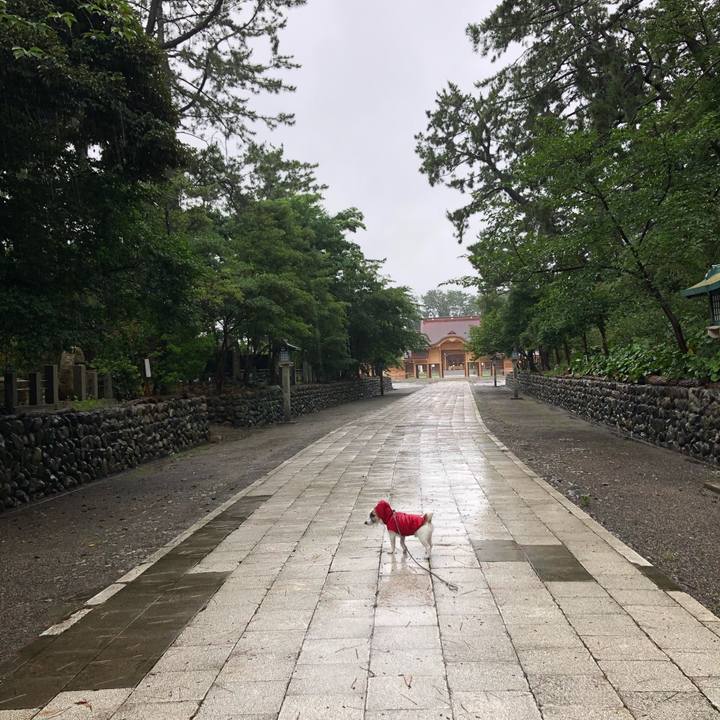 D3f9505c 7821 4f59 92c4 9e2d4b44cf40 1595889172406