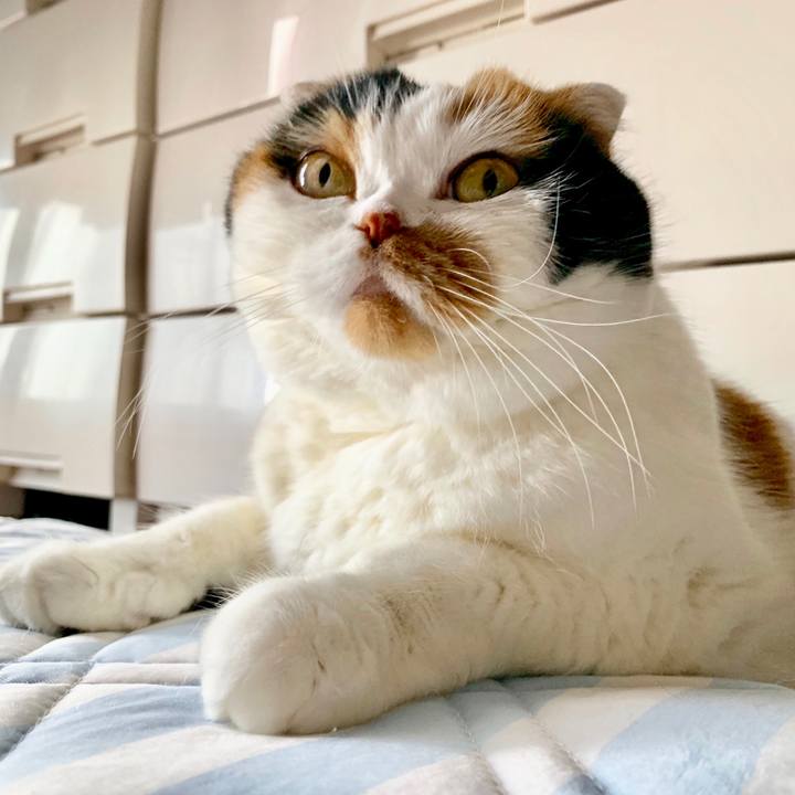 D3f9b3f8 a117 4fc7 b915 ed88996263ed 1565770972976