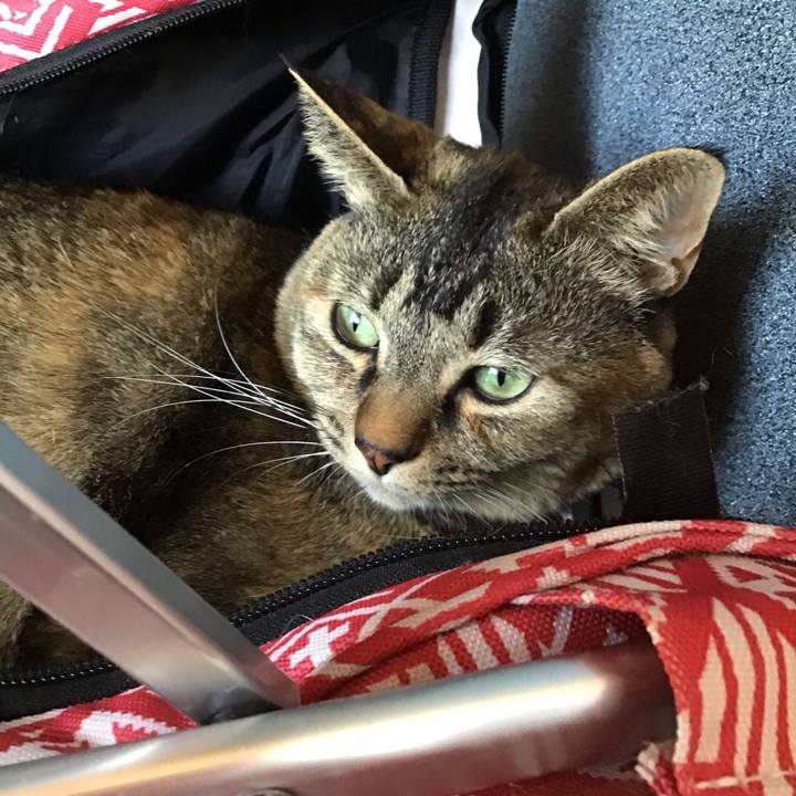 D3f9d34d d1b8 4279 9d85 2bfec9b98f75 1681362251354