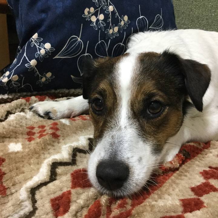 D3fa03ea 0558 4d6d ab12 cc12081ec081 1553077512009