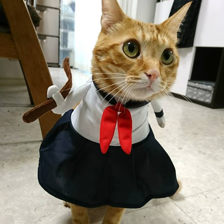 D3fa3219 74ac 4071 a63c 74e6ae449312 1557182950459