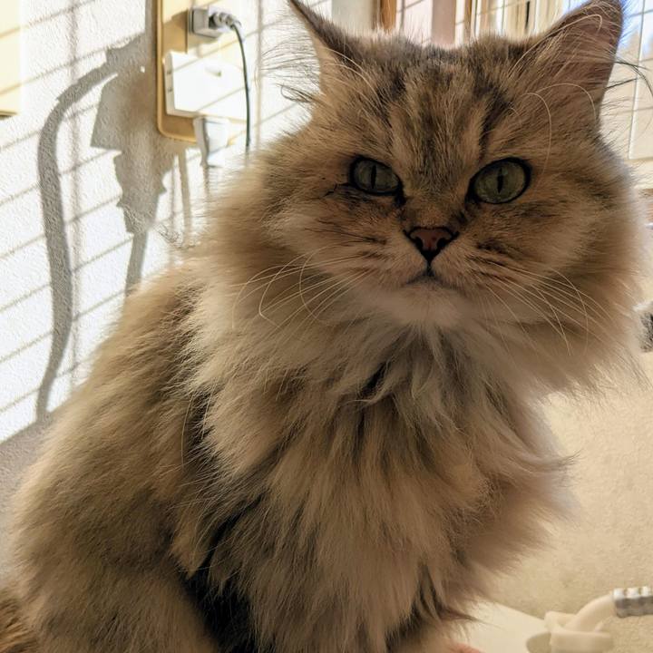 D3fa6c85 ecdd 4a1b a0c4 76475598b3f0 1664764196787