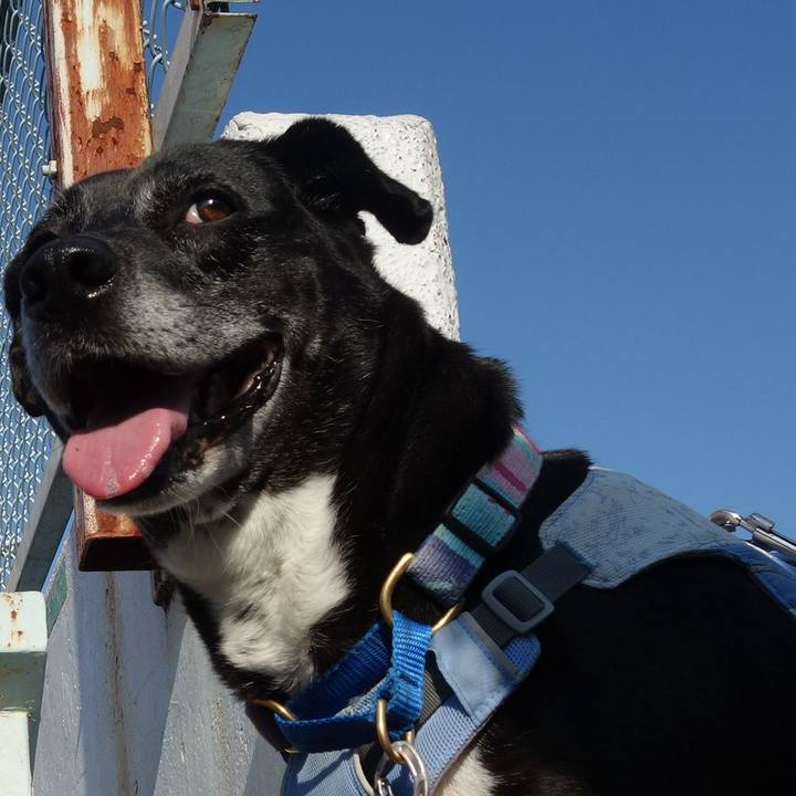 D3fa7af1 0f1c 4fbd b247 4d2e584053ba 1753318505374