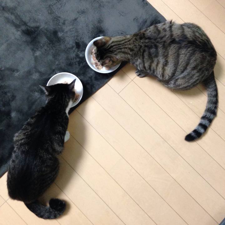 D3fa88cd 19b2 4aa9 9978 457443022f35 1508639699507