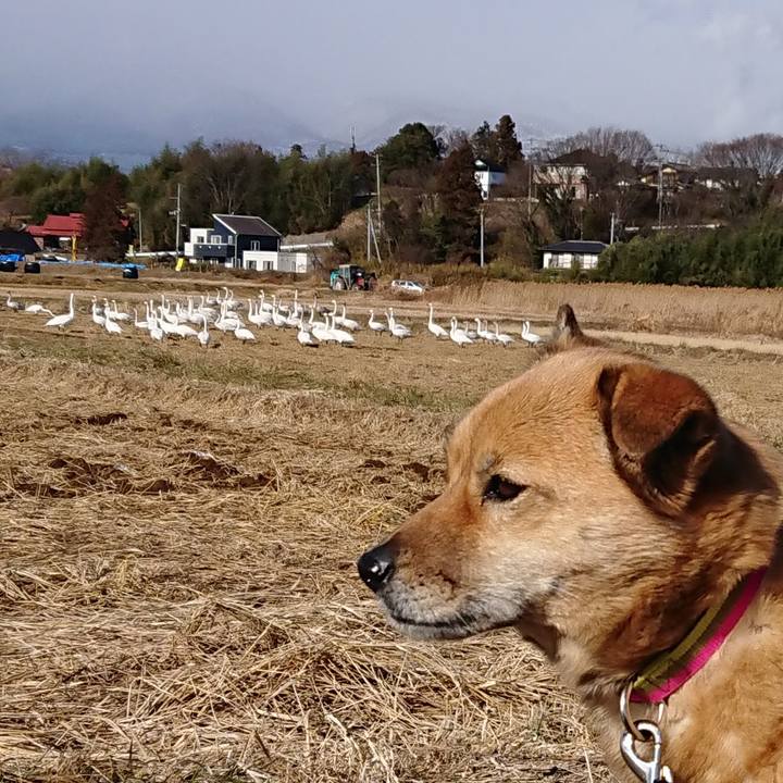 D3faee9a ad68 4012 a9c2 3ea539c6b4dd 1610247530851