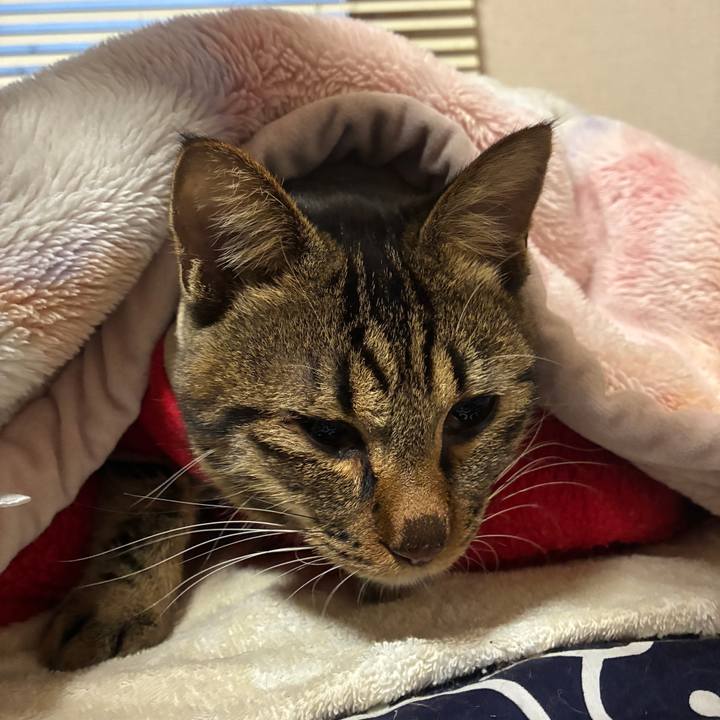 D3faf90d 41e2 4886 a1ef c3cae7845e46 1761772084512