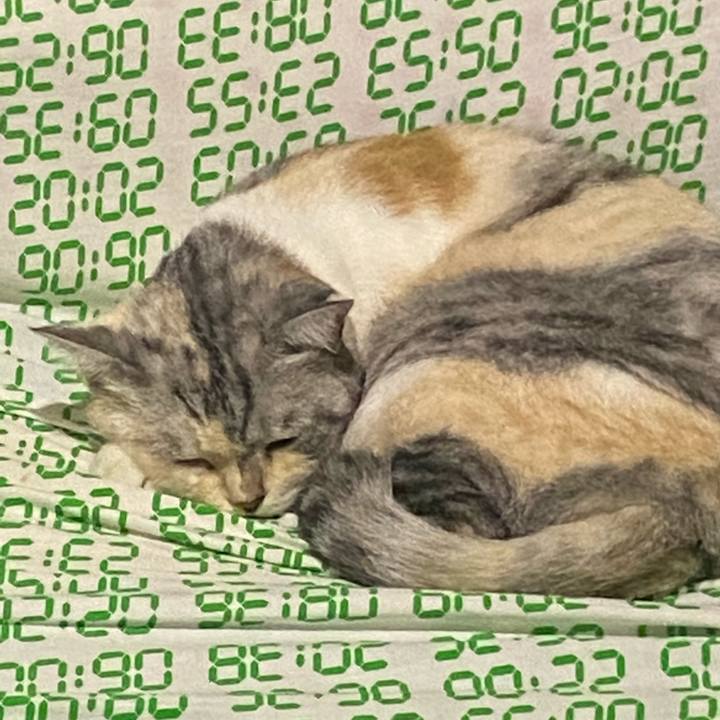 D3fafd36 5338 4ba0 ae4f 1bf0bf915091 1661868856182