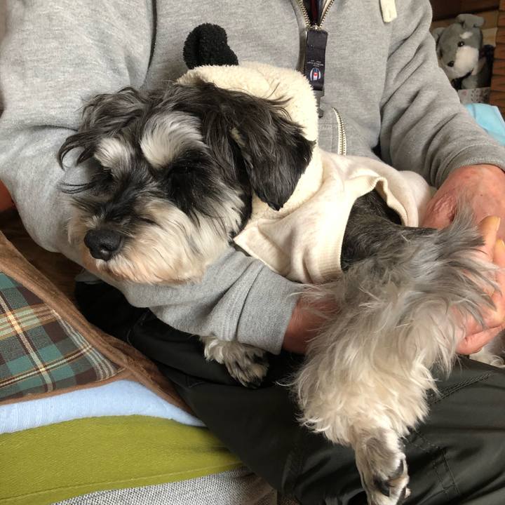 D3fb05ec 5ed4 4ba0 b261 e5b15d8dc73c 1642218788320