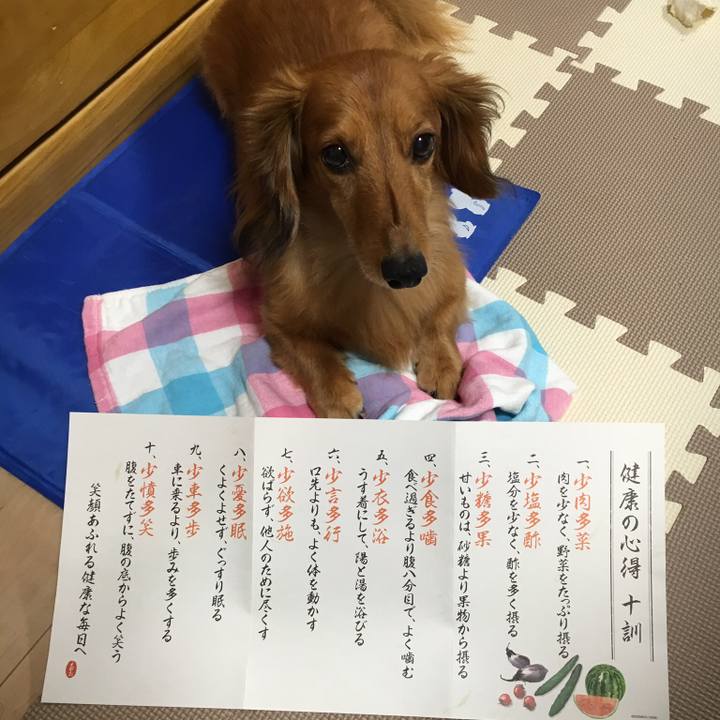 D3fb3a5b 55d7 4200 8331 c8b4758319d4 1522393511651