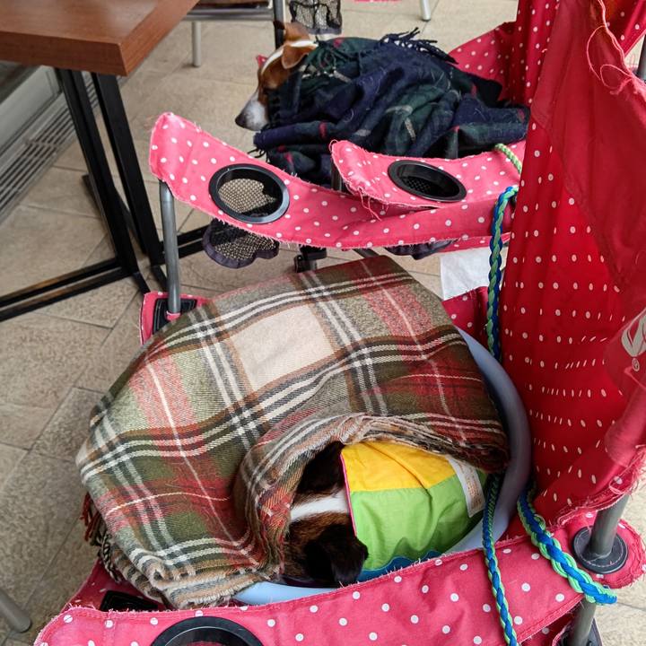 D3fb65fd 16e6 458d 9397 5dd747942652 1620880388643