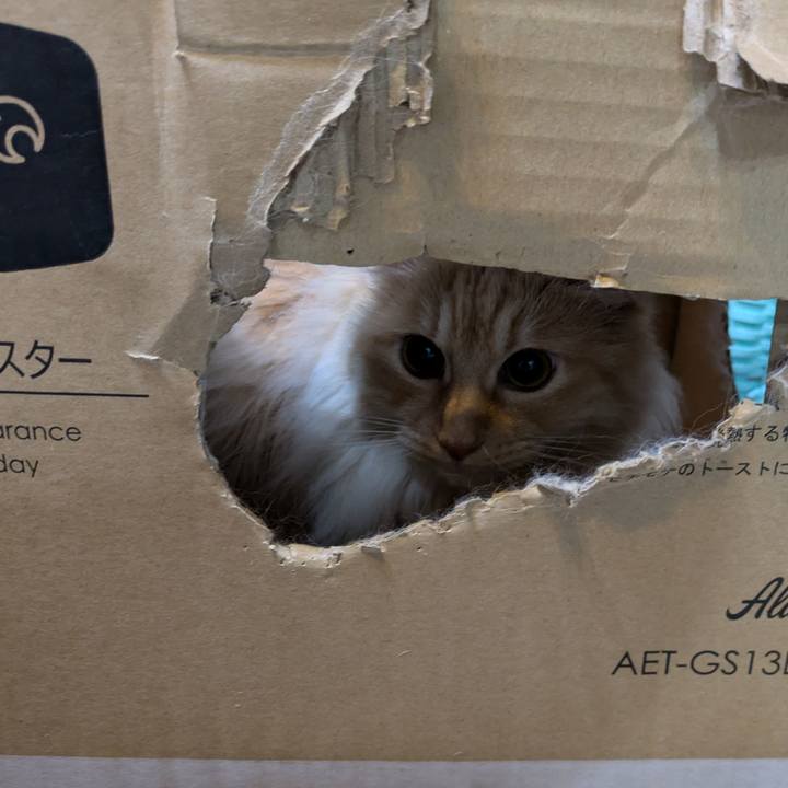 D3fb7c1a bcdd 4047 9a38 54ebaa1b8262 1746711141539