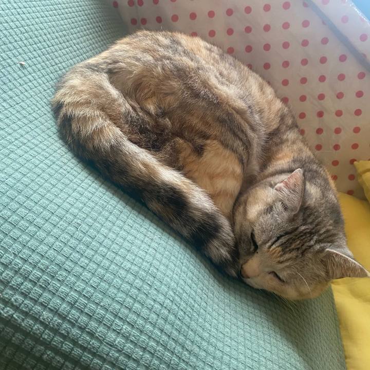 D3fb9a93 92c1 4e1b bbb1 0614bd45e54d 1714289268261