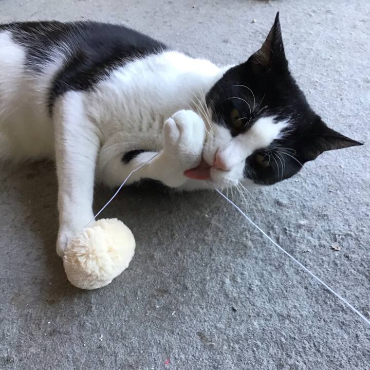 D3fbd26c 20ba 43cc a686 ee14f241d9a5 1687009429395