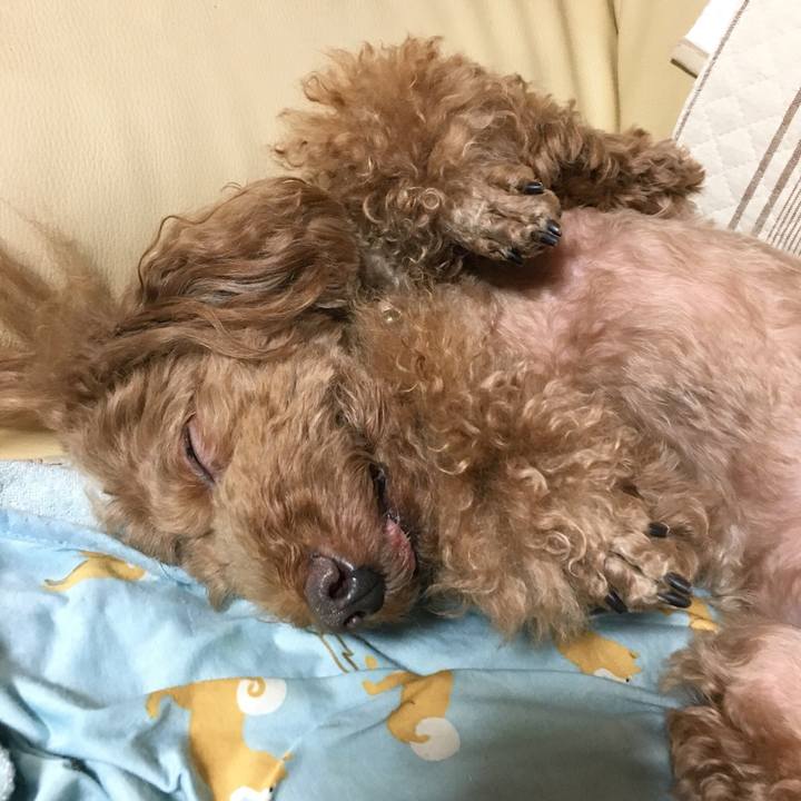 D3fc08b5 5661 4e2c b207 d993f8d4abf2 1537172504143