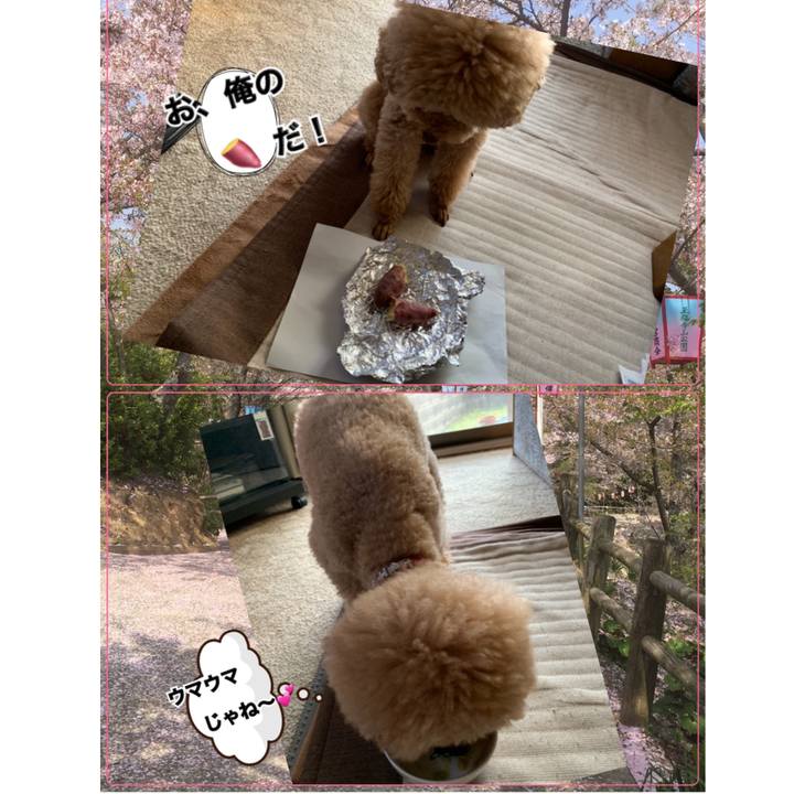 D3fc0a8c 85b3 4b2f 91ed 5516f6be3dff 1553326618417