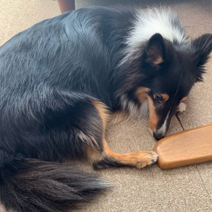 D3fc3a4e 5ec4 4a73 b5c7 ed94ece97f29 1573341045526