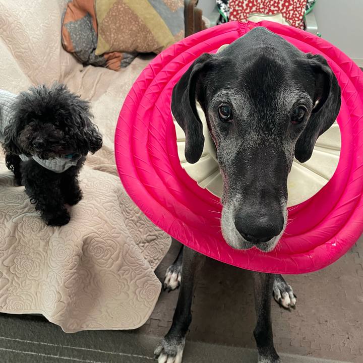 D3fc468e fcbb 421f 982b 0c57887c2afa 1636324808166