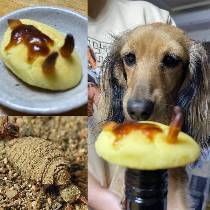 D3fc7caa dd9e 4c08 baf3 9ca6687238a0 1665143210097