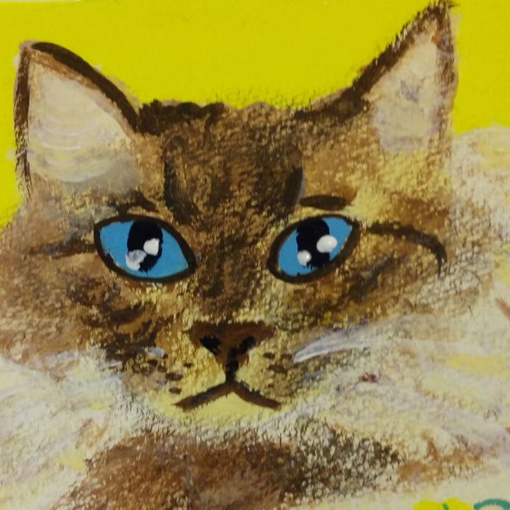 D3fc8338 771b 4543 9140 9715f9e23ea3 1527687098950