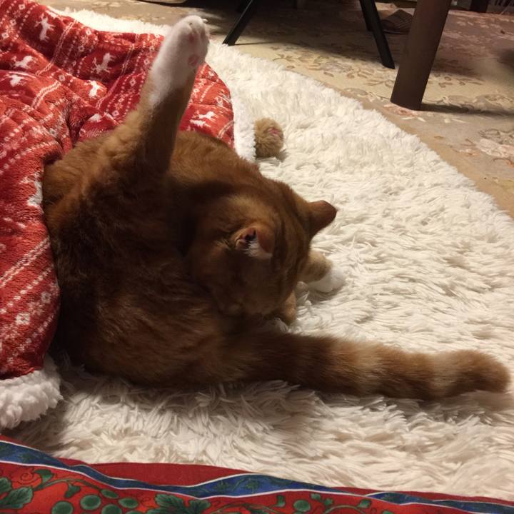 D3fc8d5c c835 40c9 9bda a2db25d7b9b9 1521210346535