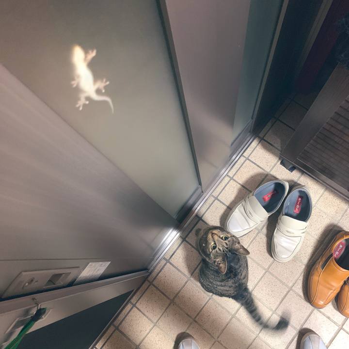 D3fce65f 4dbc 4ae8 9503 c64a764fd2d1 1563539890885