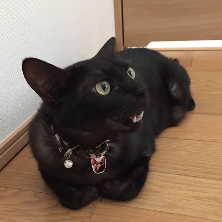 D3fcef52 f9cd 4855 9420 a70997bd91f5 1533348152765