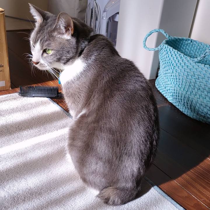 D3fd0242 90e8 41cc 857e 4308add7df72 1701676502351