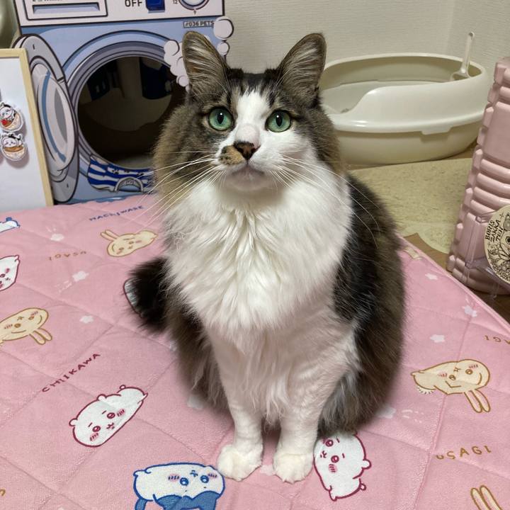 D3fd0472 52ed 40fe 8a38 e3f6b4e0a570 1706644622189