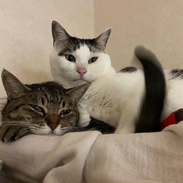 D3fd107d 30bb 49cf 96d9 19f5fe977c43 1765088136088