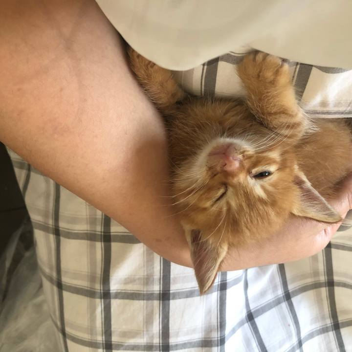 D3fd1967 5f16 4fd1 8051 7dec0c25186e 1629244299066