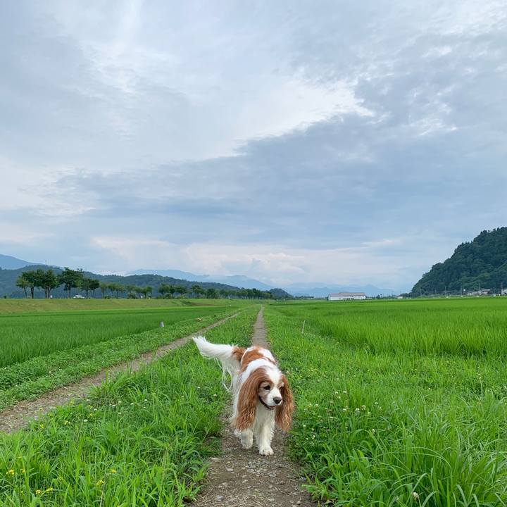 D3fd3577 4057 4e73 b109 863f9647747a 1594286677794