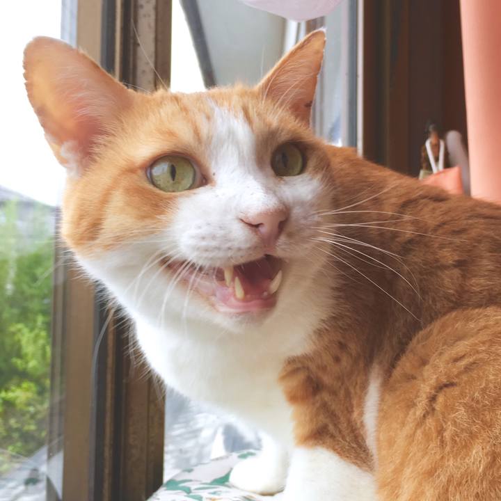 D3fd3964 ad75 4b5a 9c82 338f3ed6b1b5 1570691803318