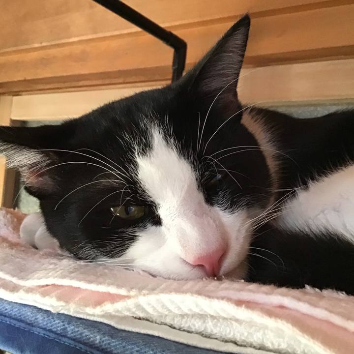 D3fd4e99 2158 4e3d b18e 224391c88092 1636623846026