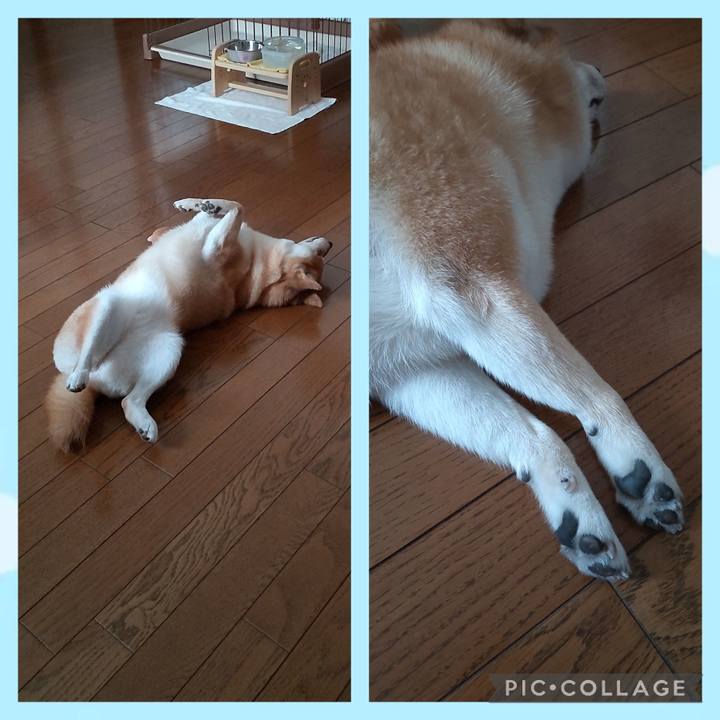 D3fd8fd1 5658 4cb8 8bb1 4bb4168e9b45 1755922398603